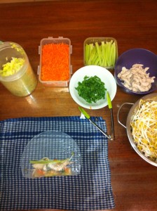 fresh spring Roll wrap